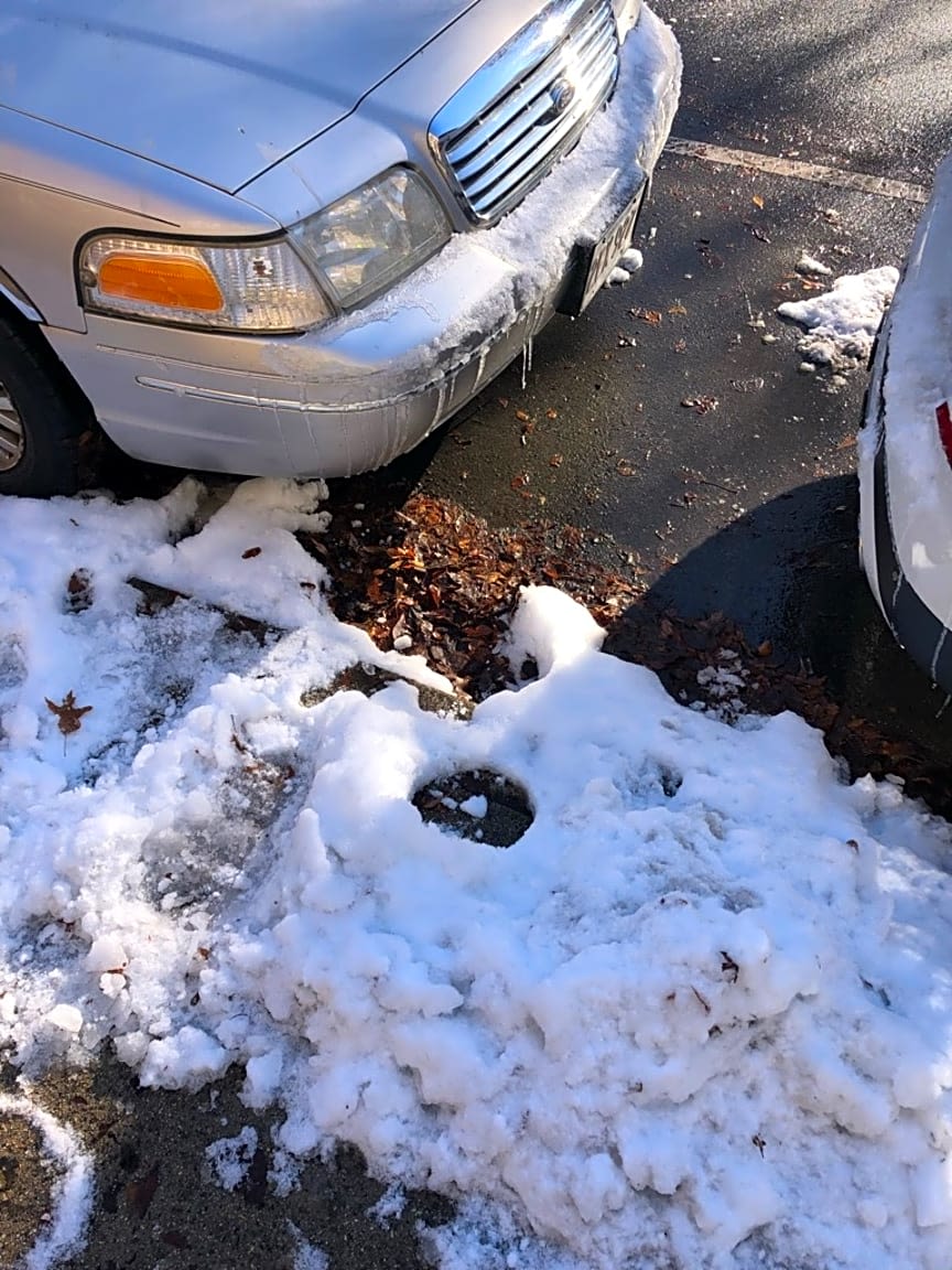 Image submitted with report