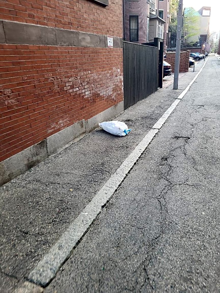 Image submitted with report