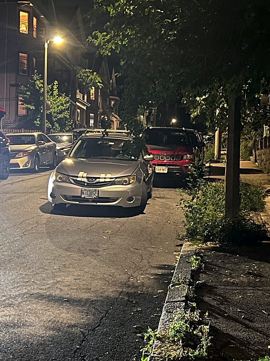 Image submitted with report
