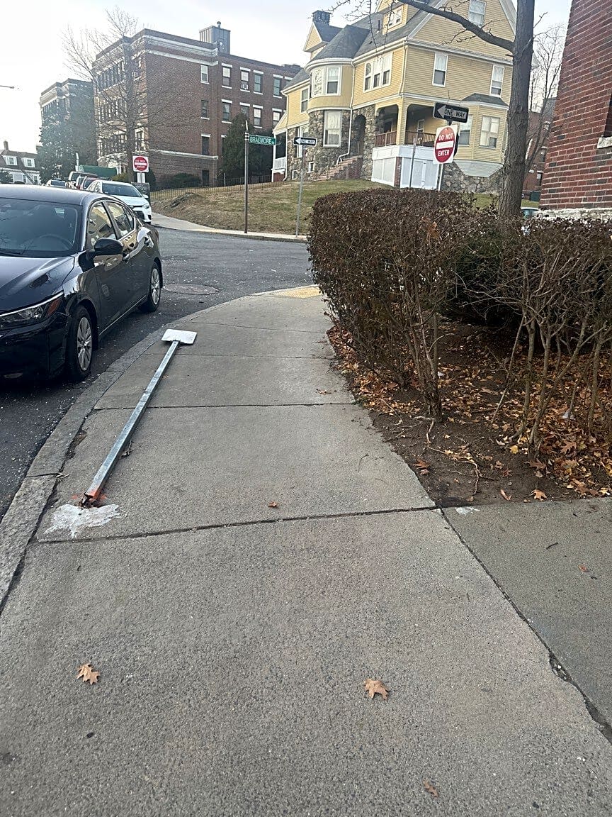 Image submitted with report