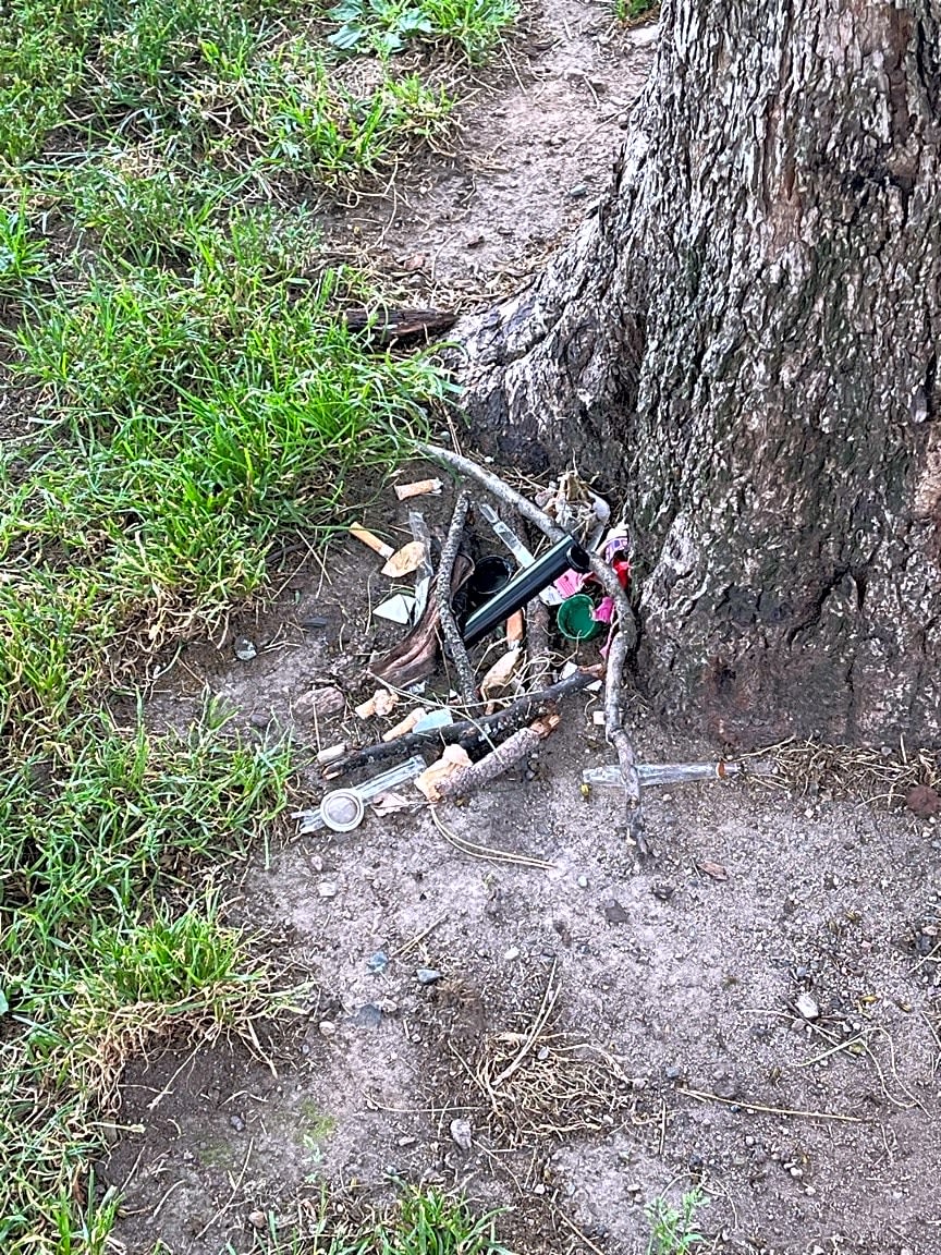 Image submitted with report