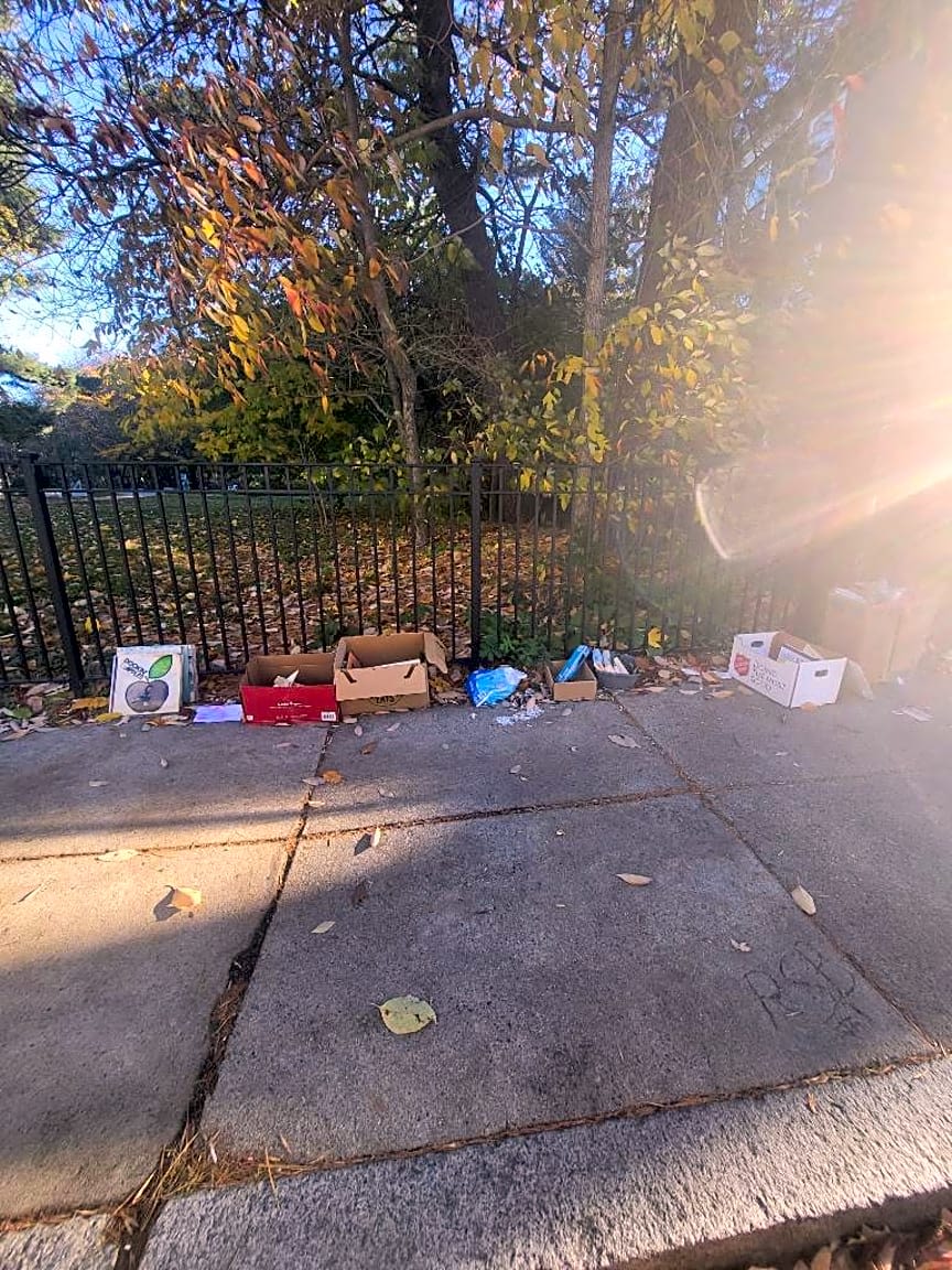 Image submitted with report