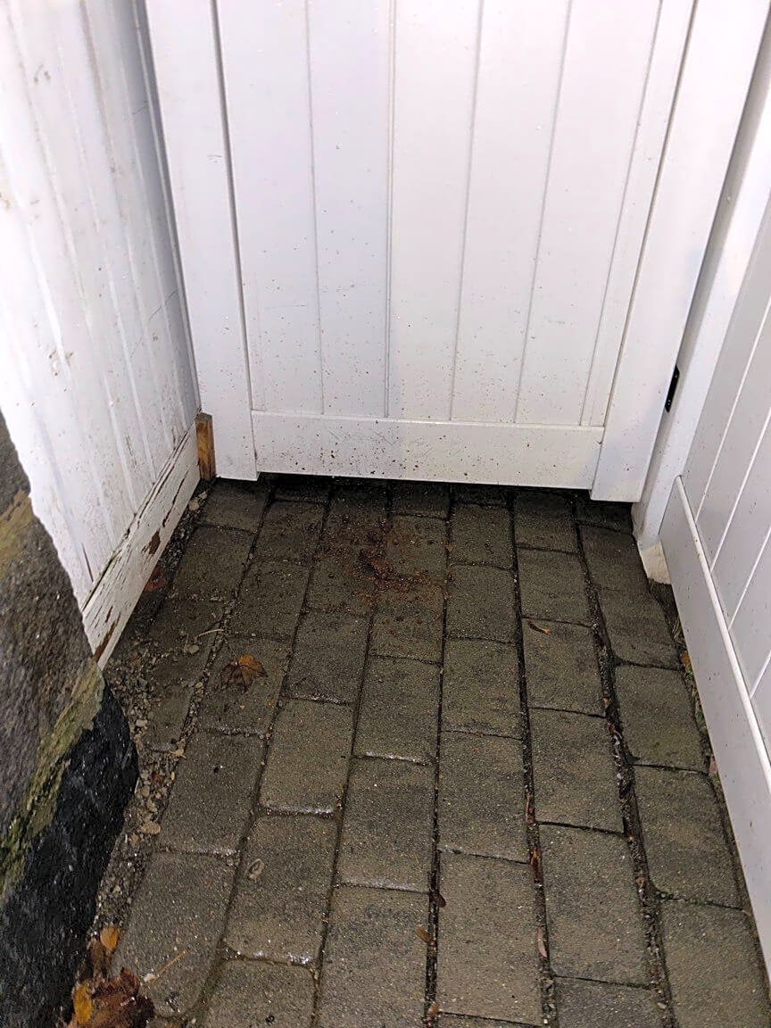 Image submitted with report