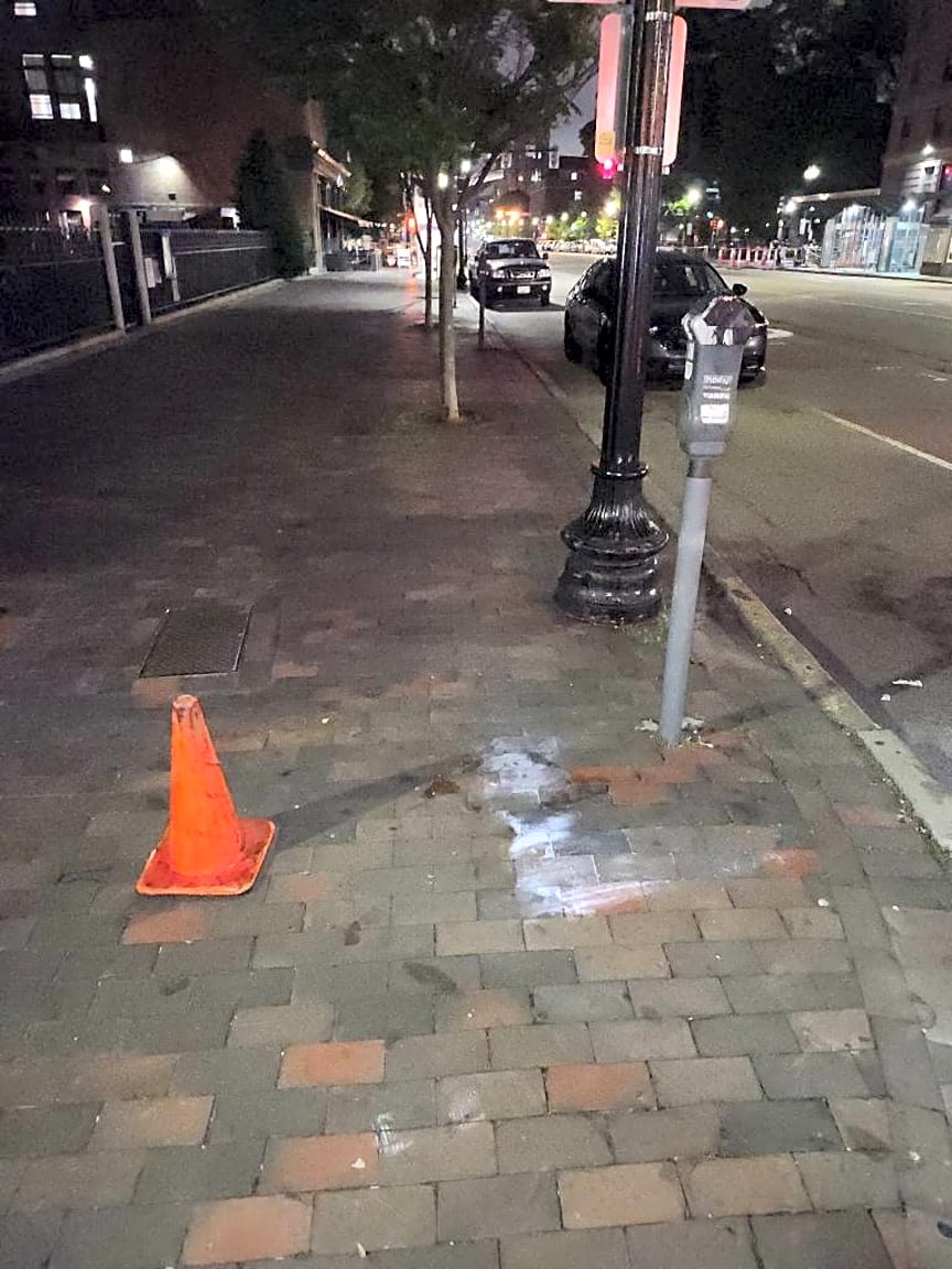 Image submitted with report