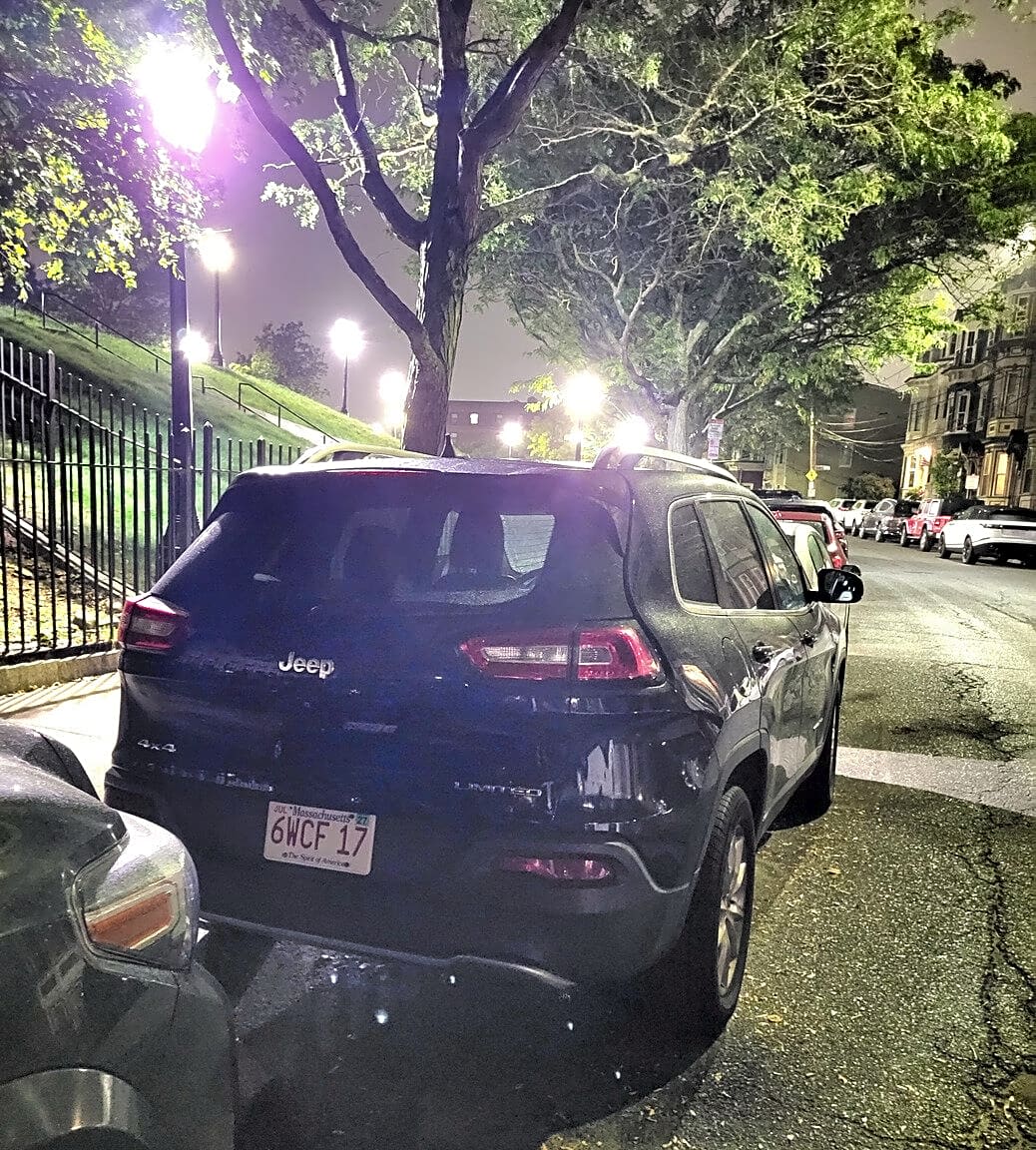 Image submitted with report