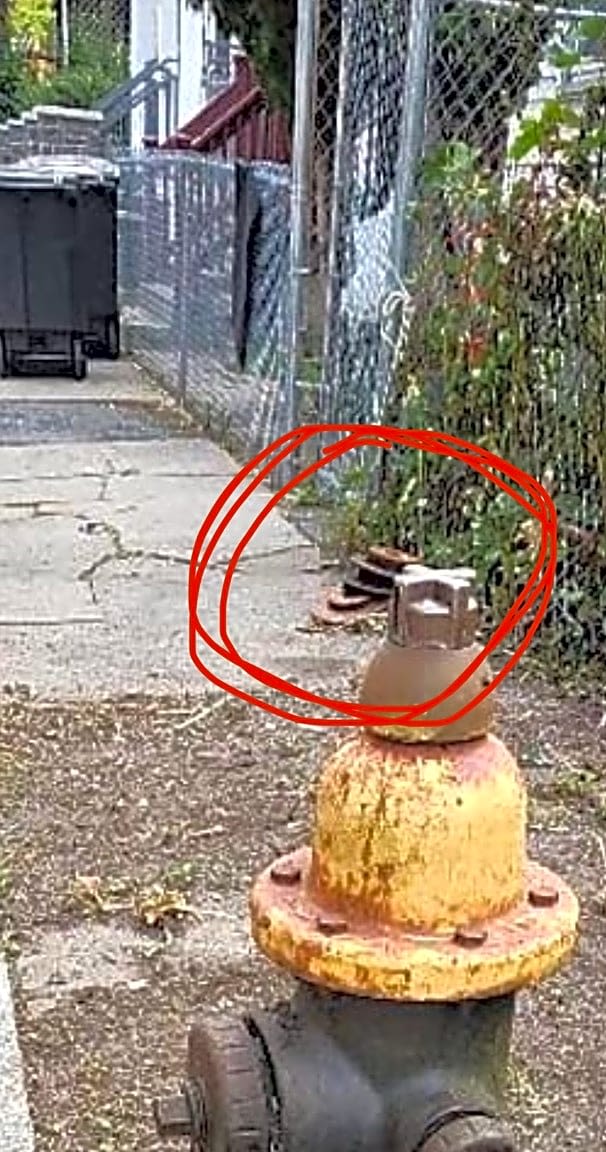 Image submitted with report