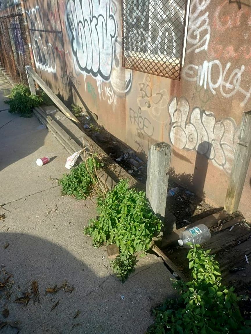Image submitted with report