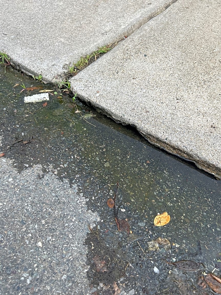 Image submitted with report