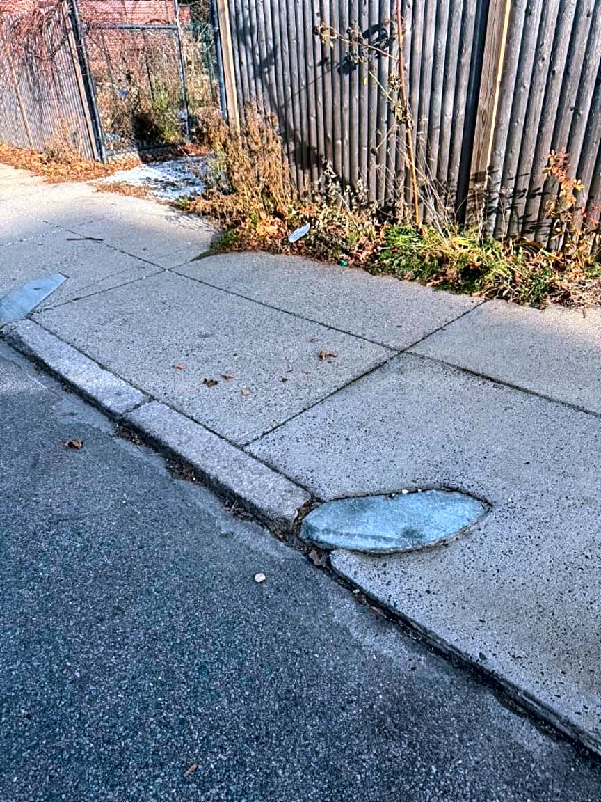 Image submitted with report