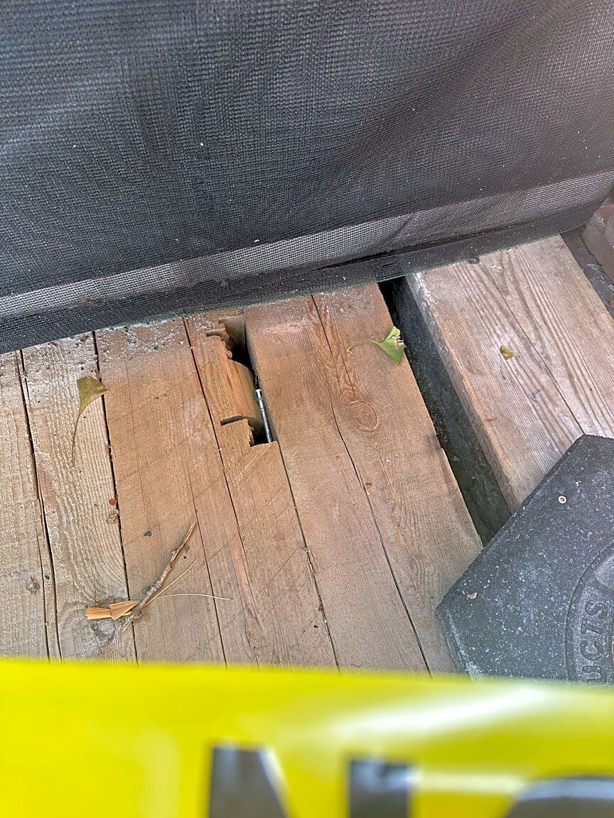 Image submitted with report