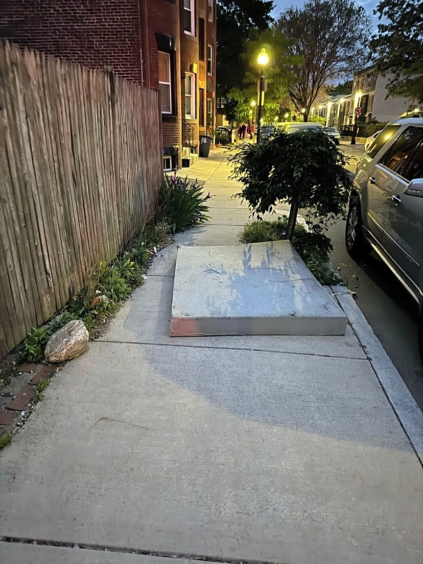 Image submitted with report