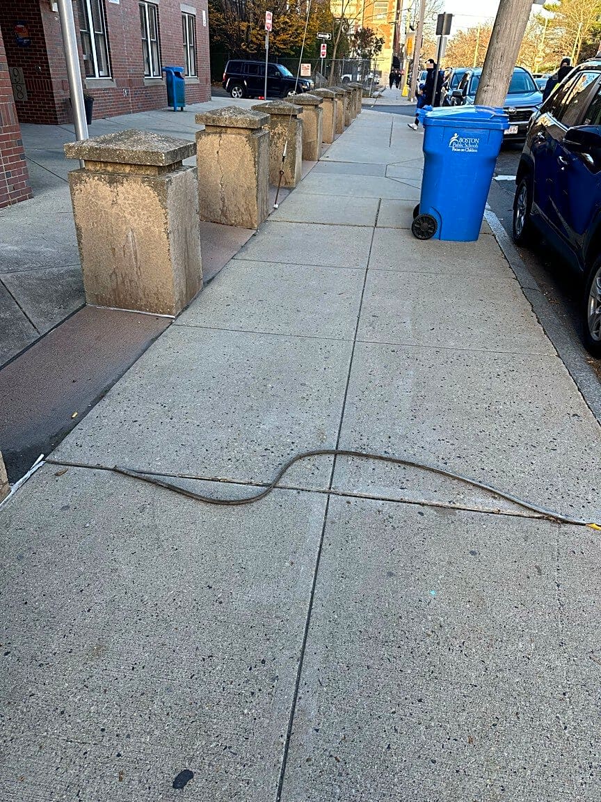 Image submitted with report