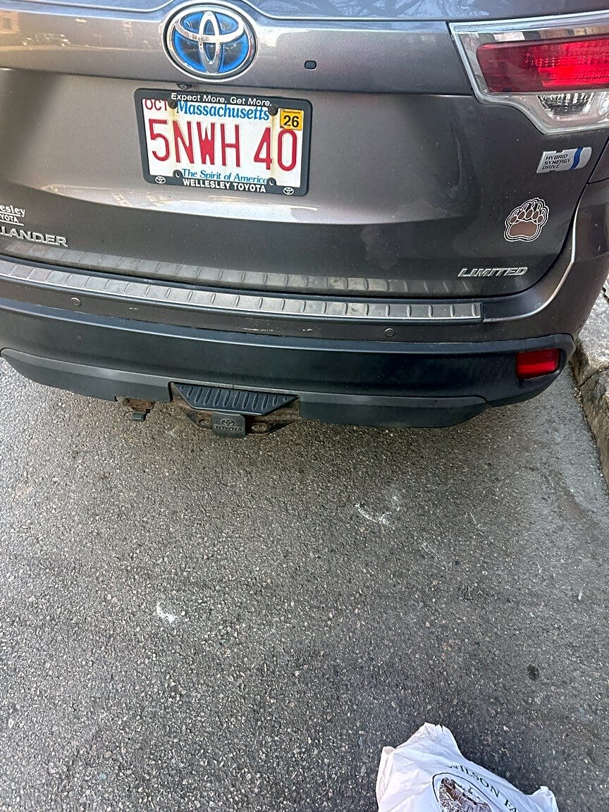 Image submitted with report