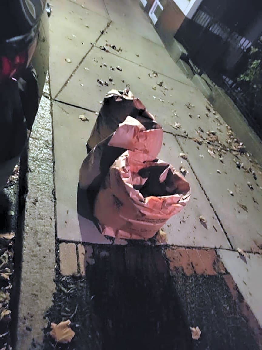 Image submitted with report