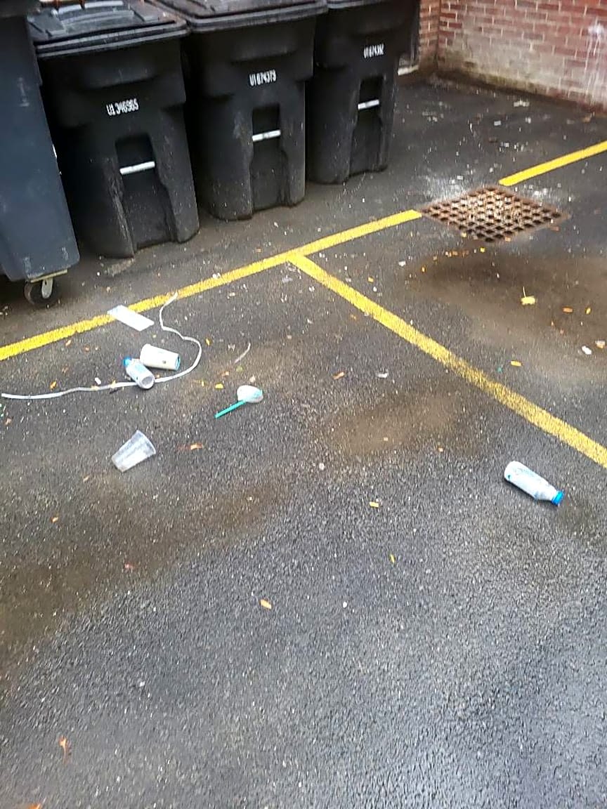 Image submitted with report