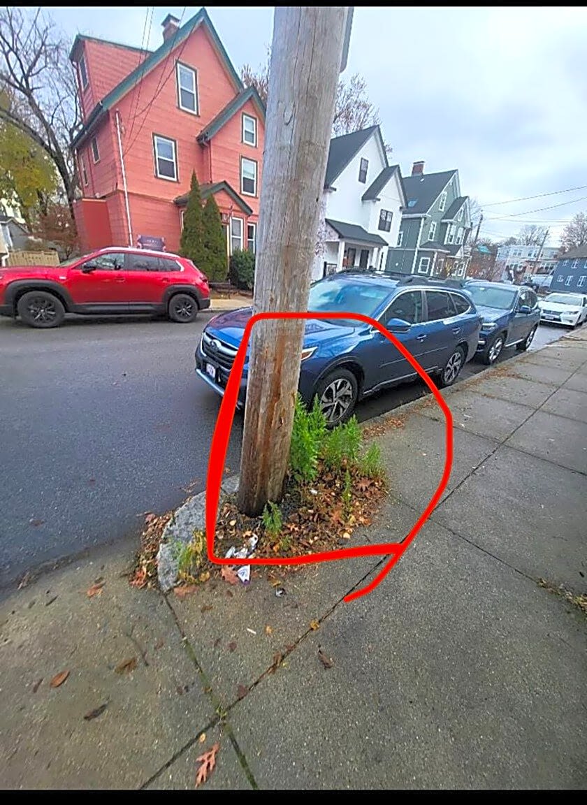 Image submitted with report