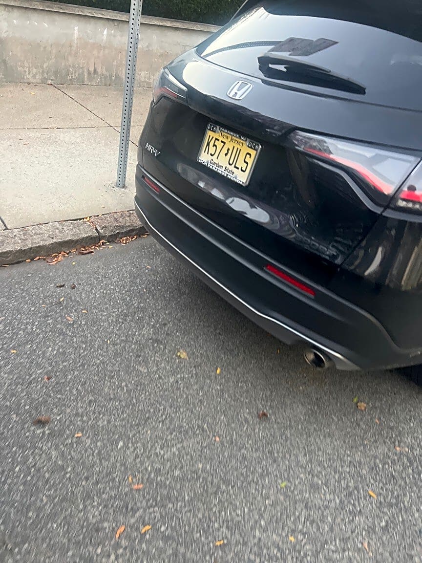 Image submitted with report