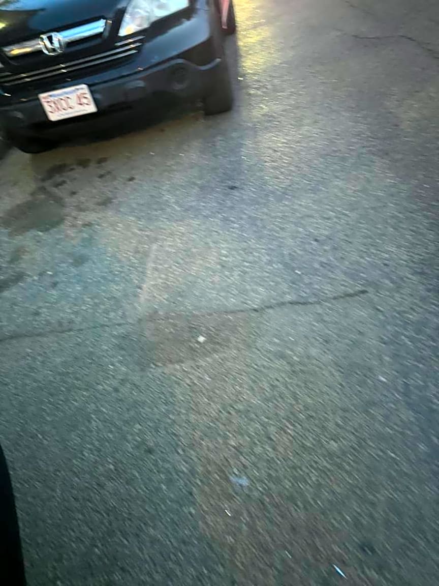 Image submitted with report