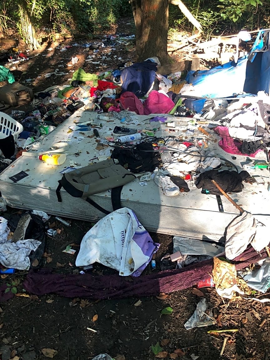 Image submitted with report