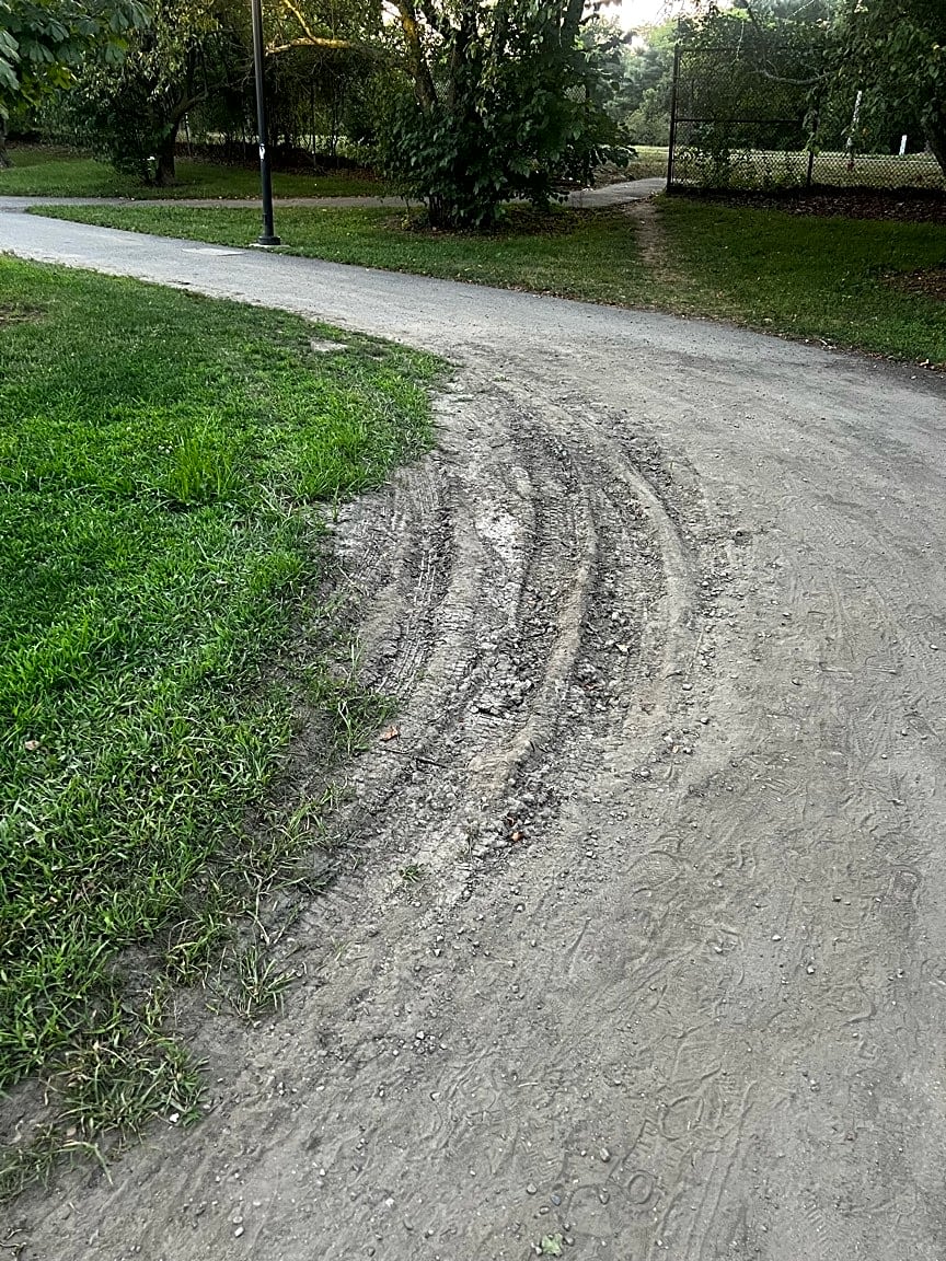 Image submitted with report