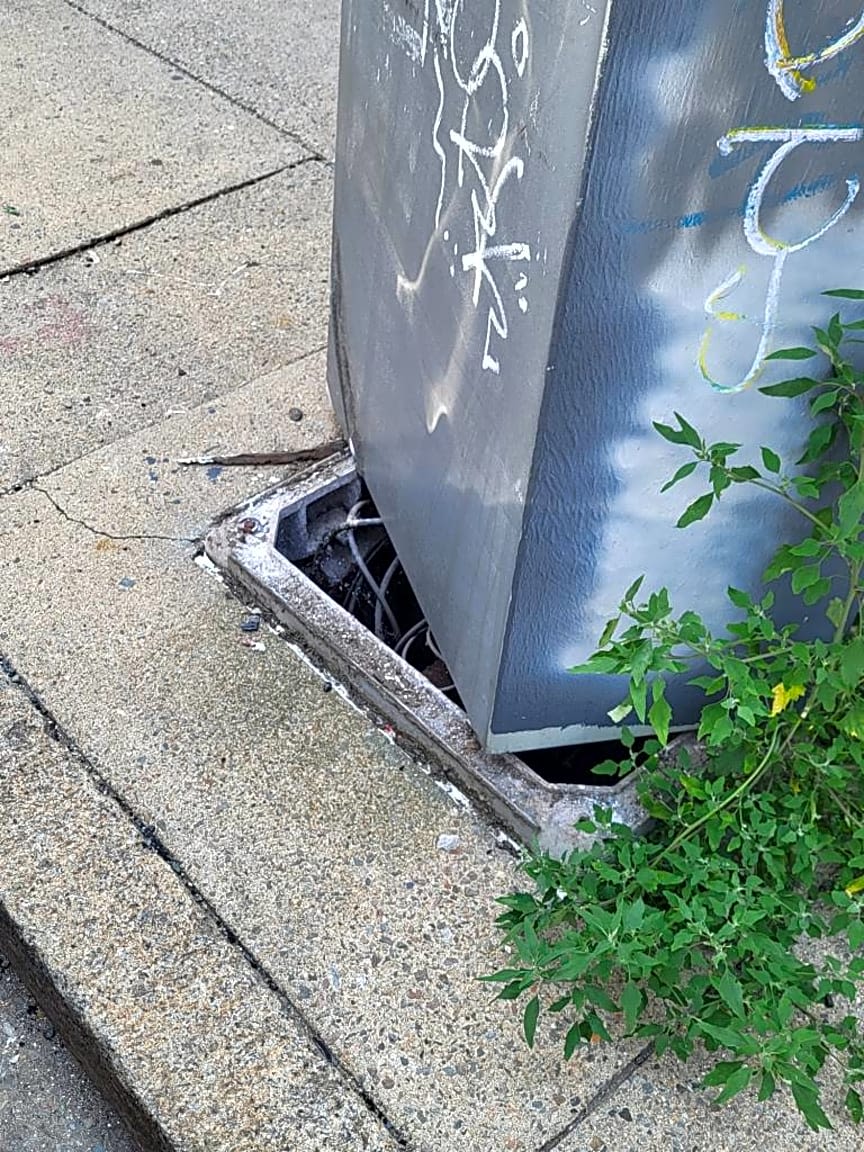 Image submitted with report