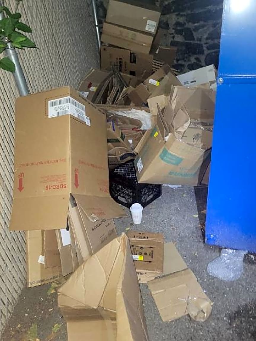 Image submitted with report
