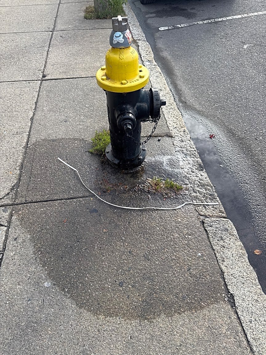 Image submitted with report