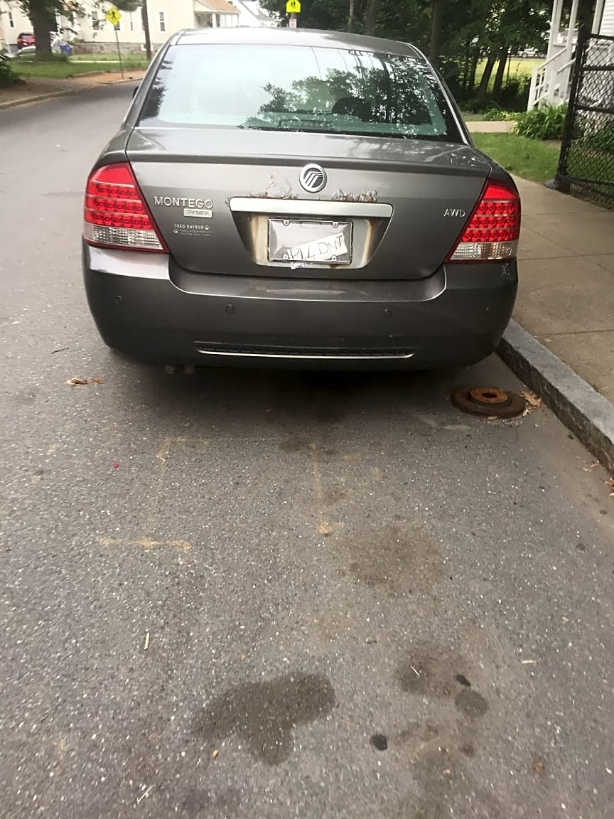 Image submitted with report
