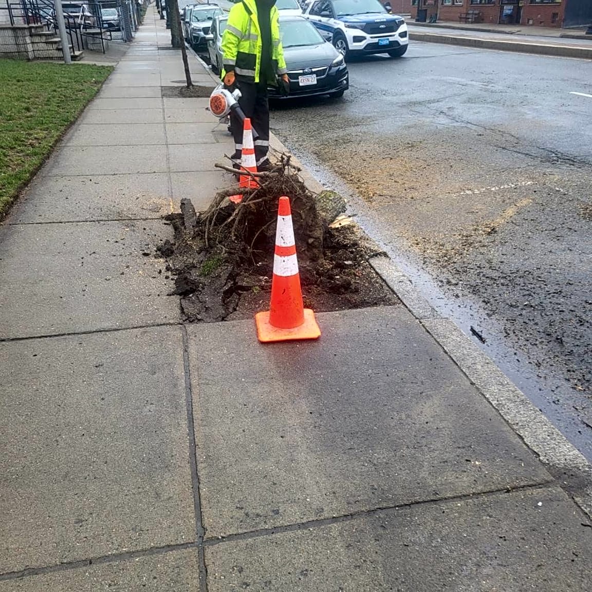 Image submitted with report