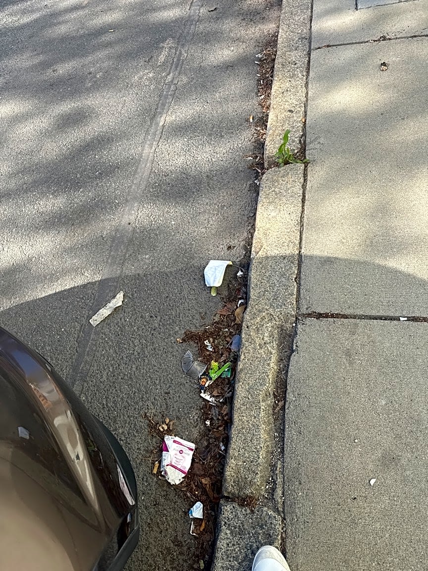 Image submitted with report