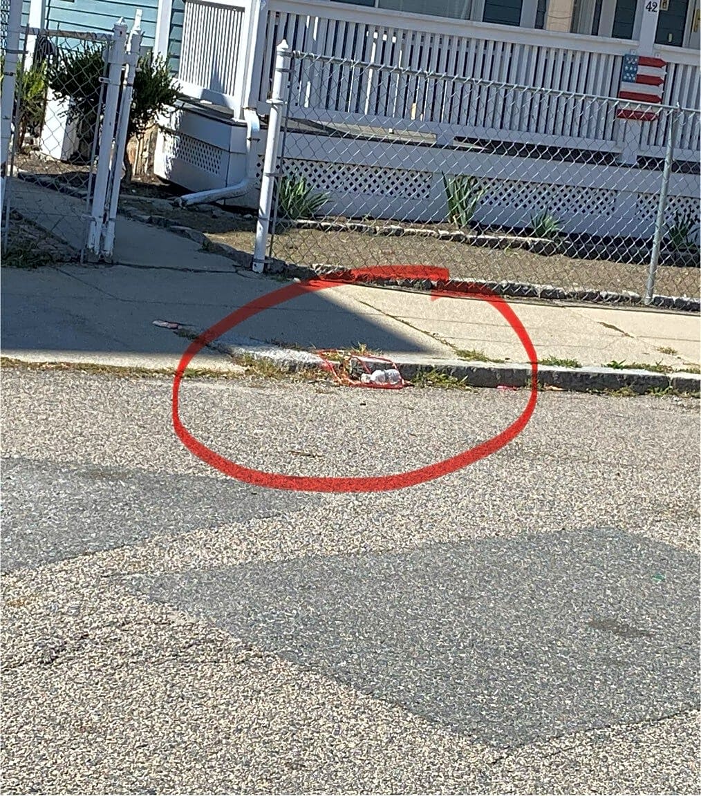 Image submitted with report