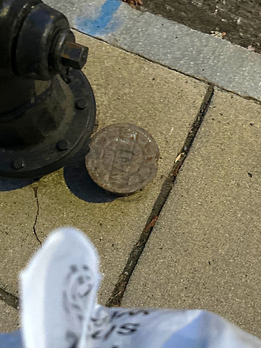 Image submitted with report