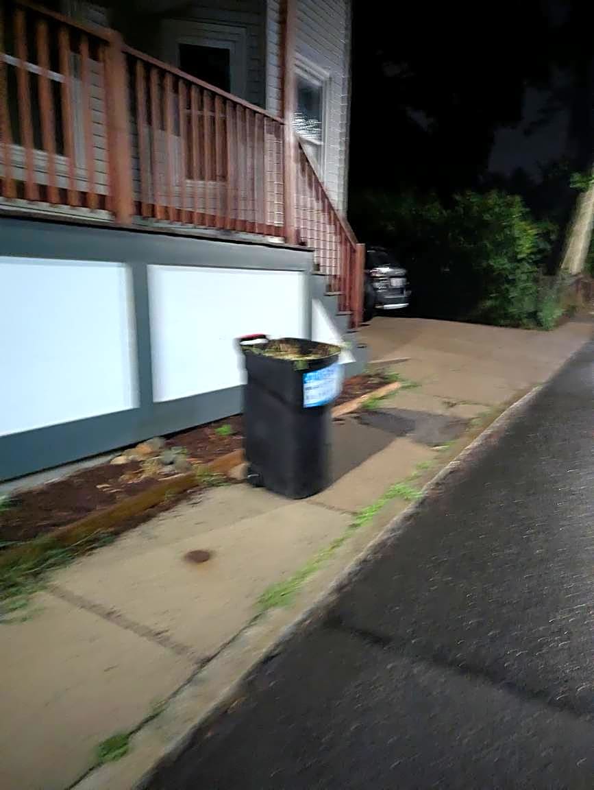 Image submitted with report