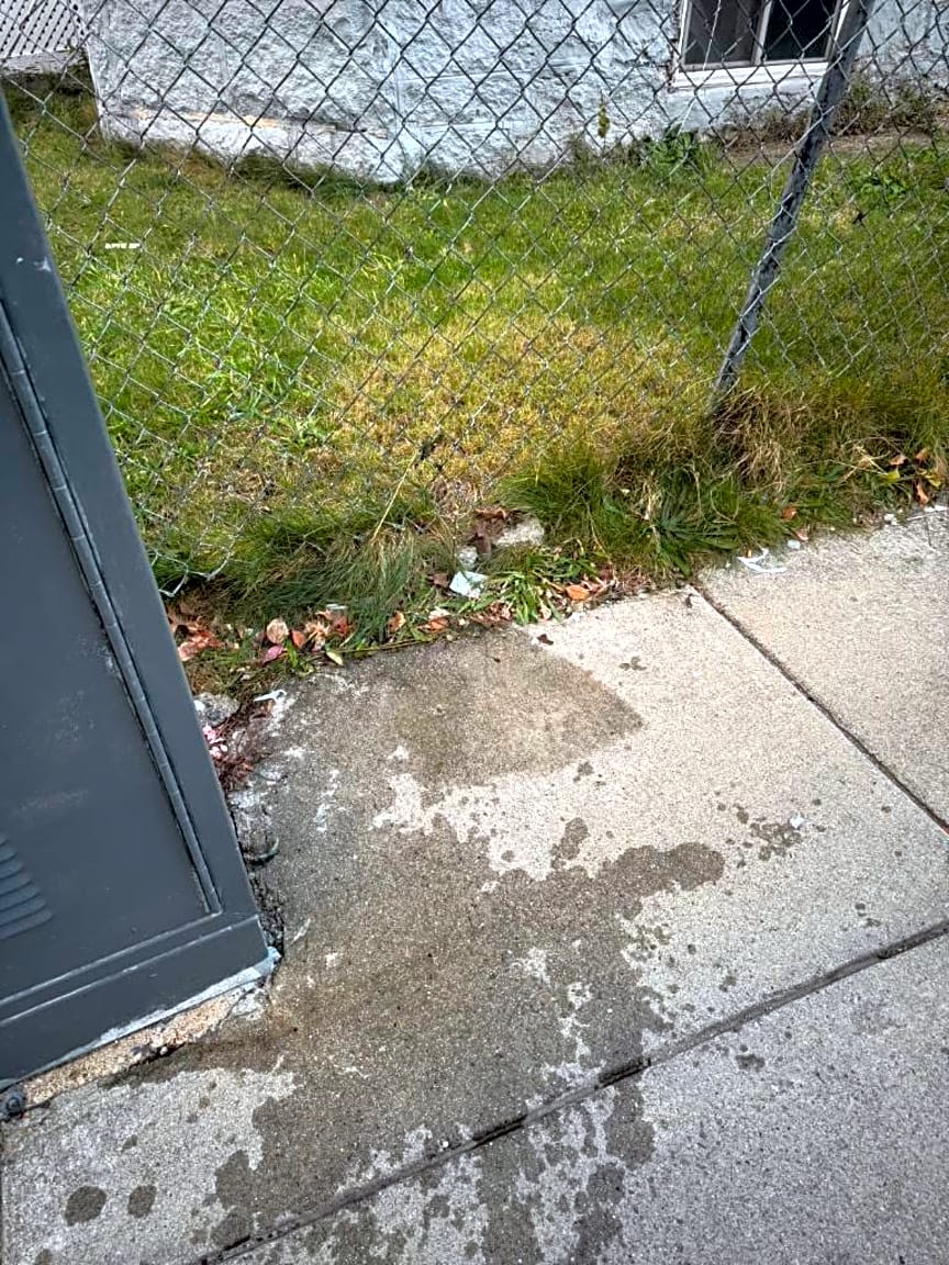 Image submitted with report