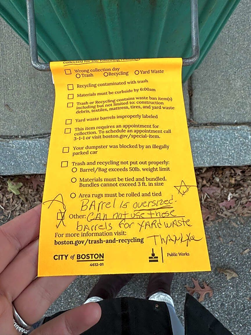 Image submitted with report