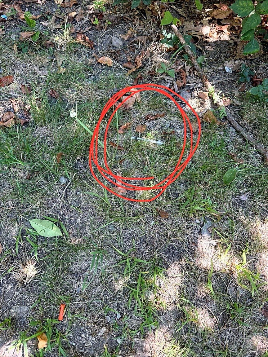 Image submitted with report