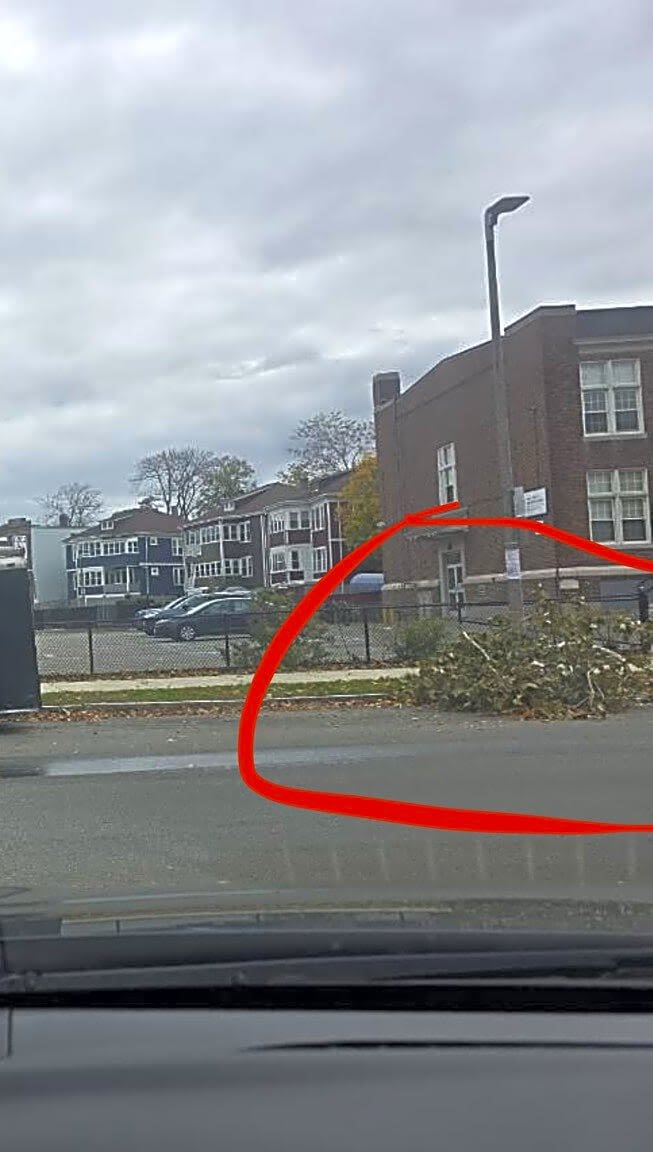 Image submitted with report