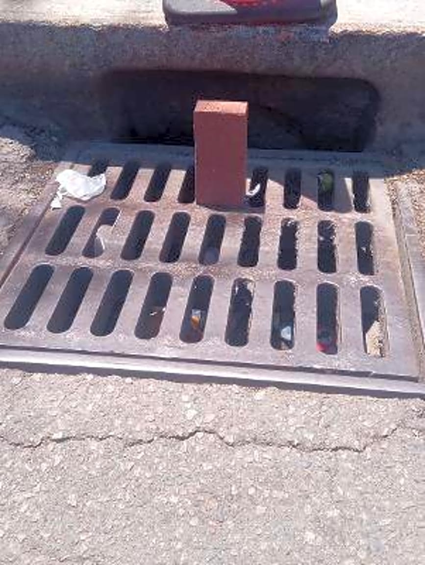 Image submitted with report