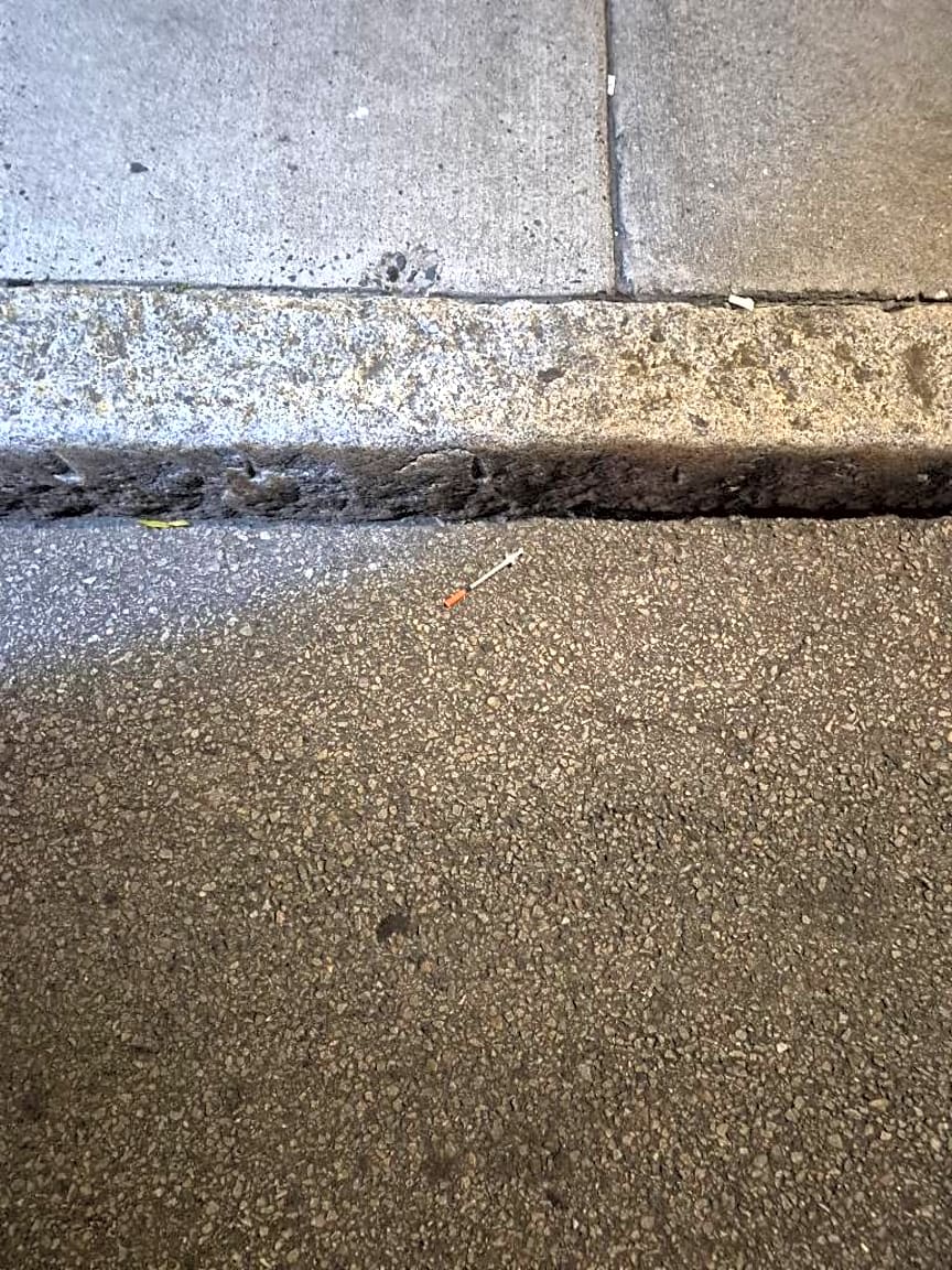 Image submitted with report