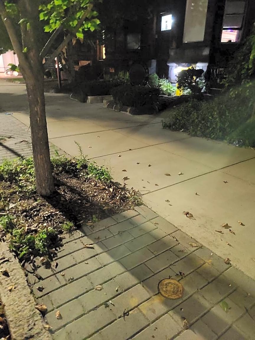 Image submitted with report