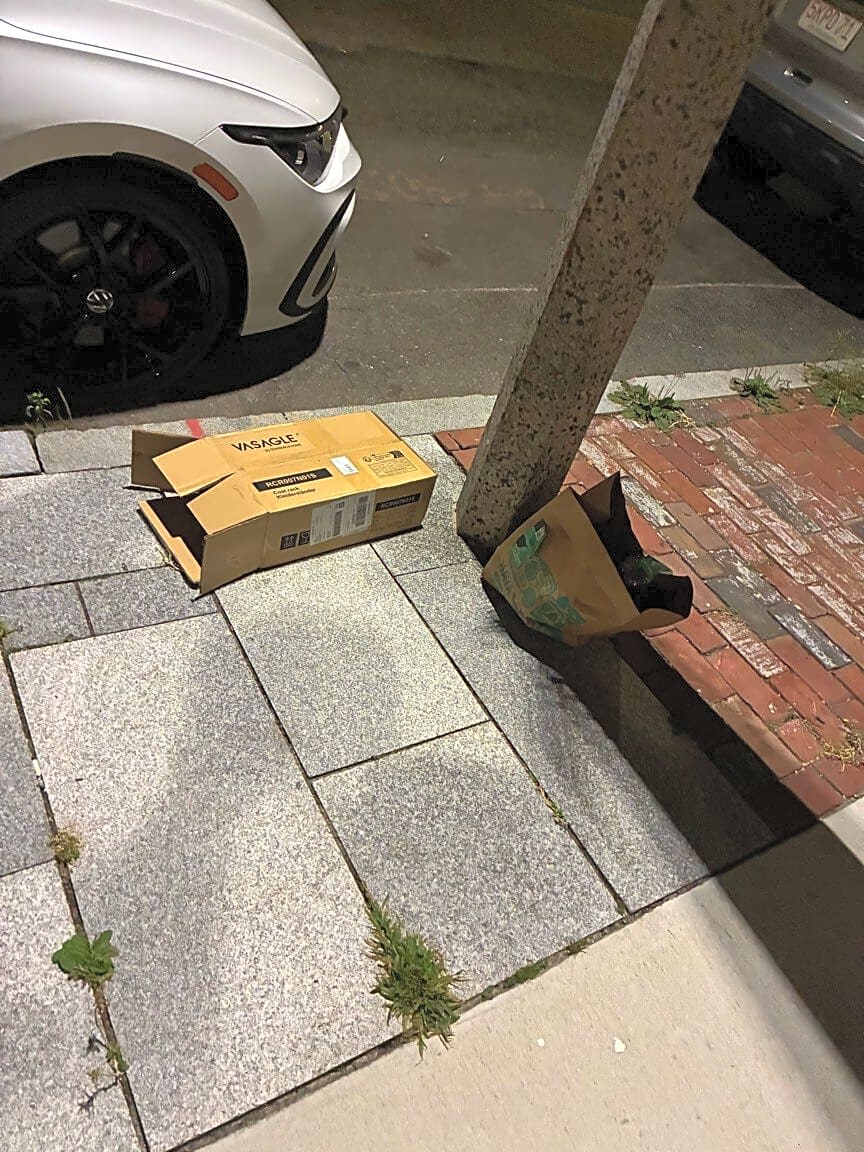 Image submitted with report