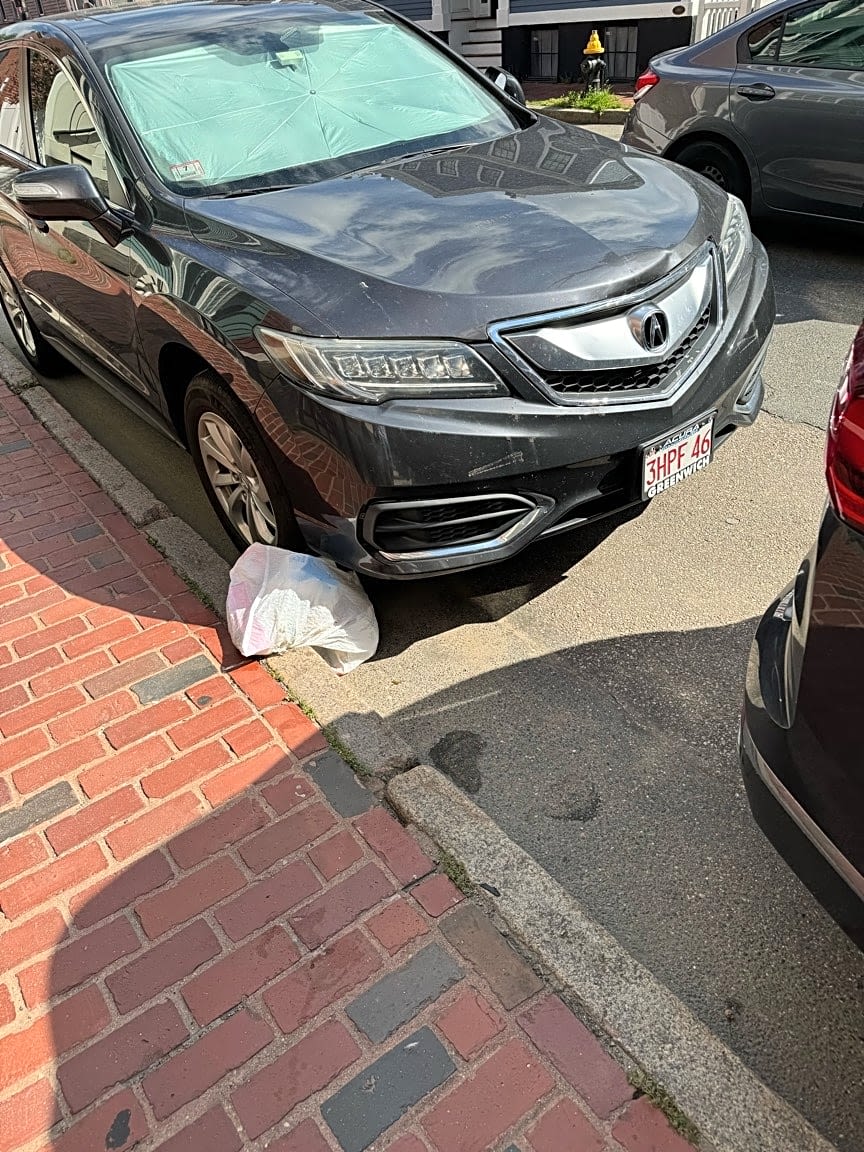 Image submitted with report