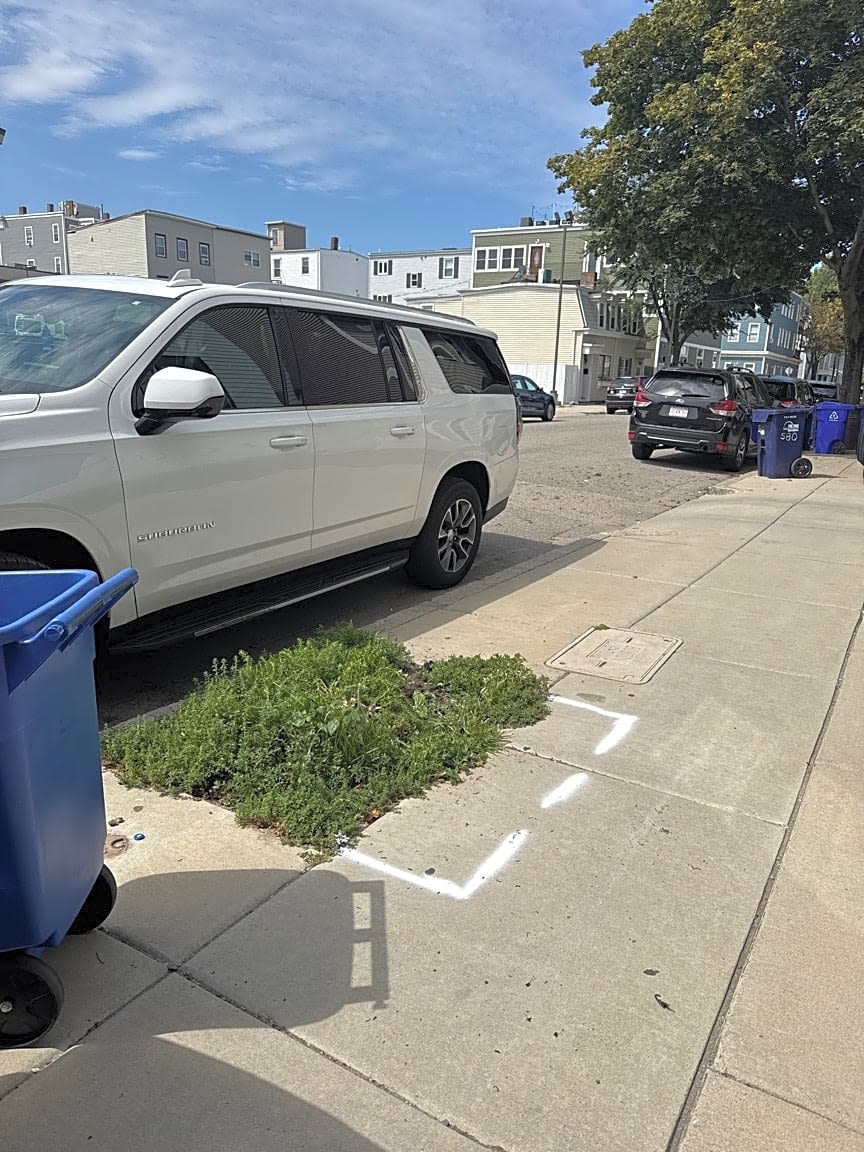 Image submitted with report