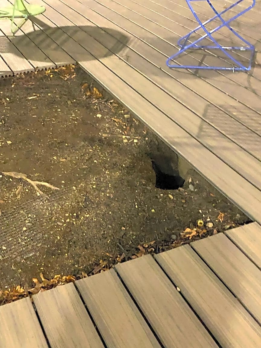 Image submitted with report