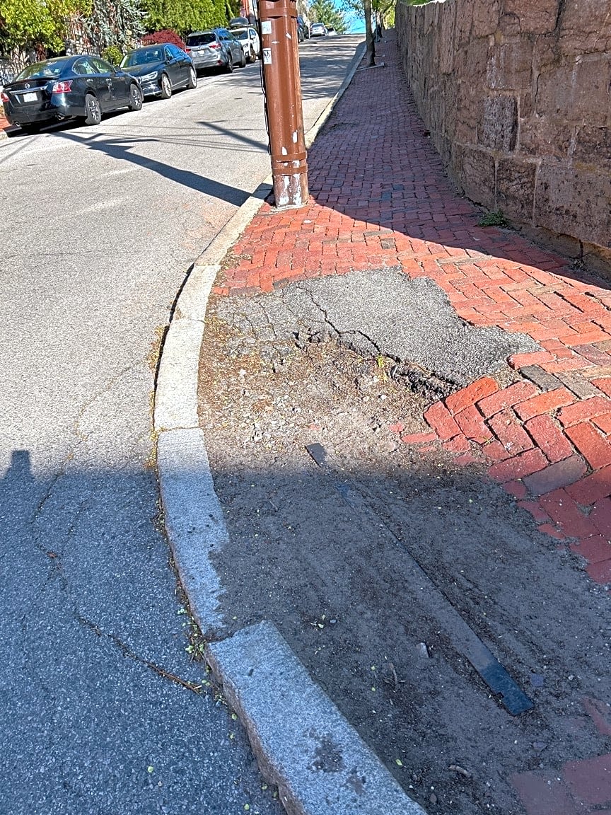 Image submitted with report