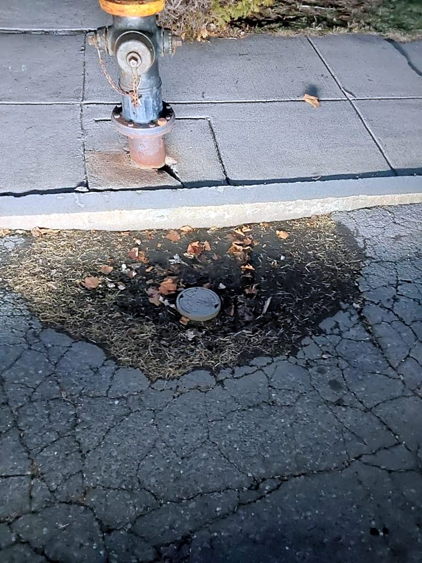 Image submitted with report