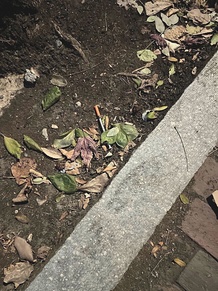 Image submitted with report