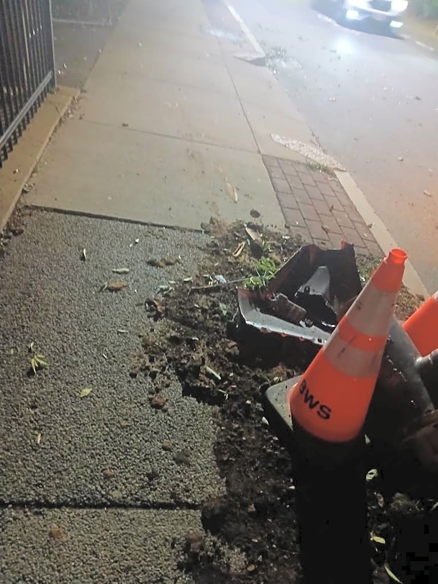 Image submitted with report