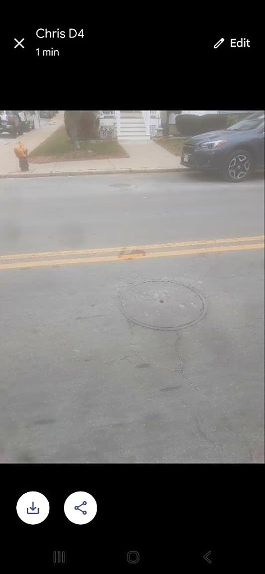 Image submitted with report