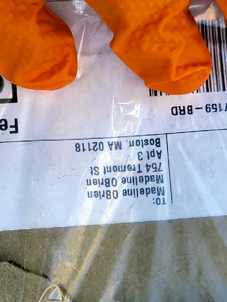 Image submitted with report